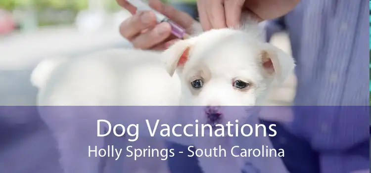 Dog Vaccinations Holly Springs - South Carolina
