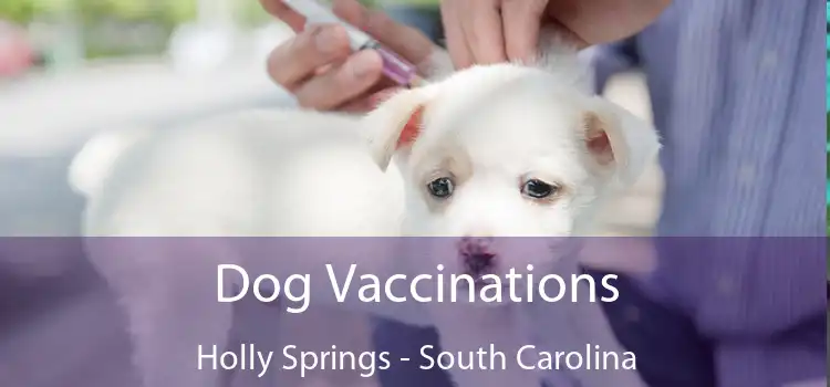 Dog Vaccinations Holly Springs - South Carolina