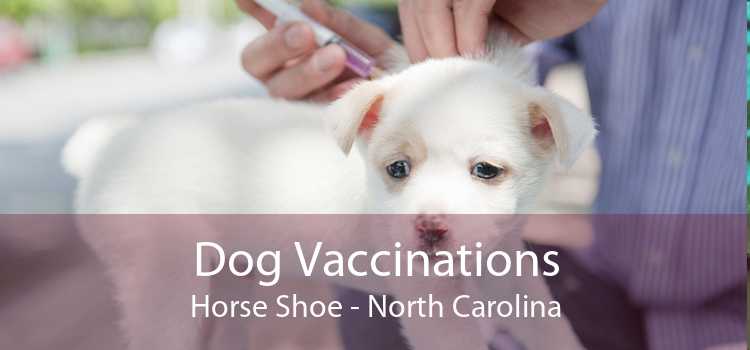 Dog Vaccinations Horse Shoe - North Carolina