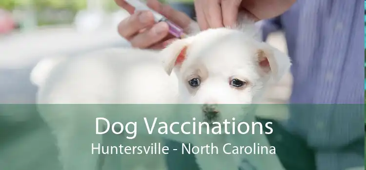 Dog Vaccinations Huntersville - North Carolina