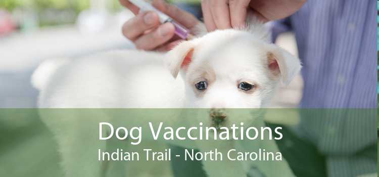Dog Vaccinations Indian Trail - North Carolina