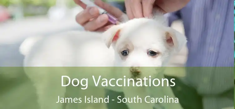 Dog Vaccinations James Island - South Carolina