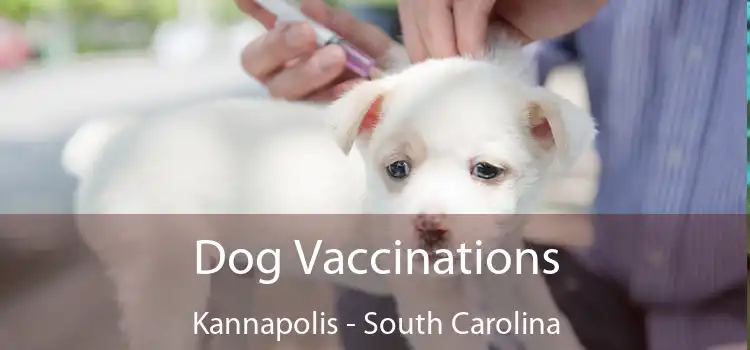 Dog Vaccinations Kannapolis - South Carolina