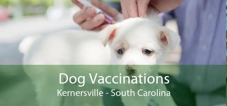 Dog Vaccinations Kernersville - South Carolina