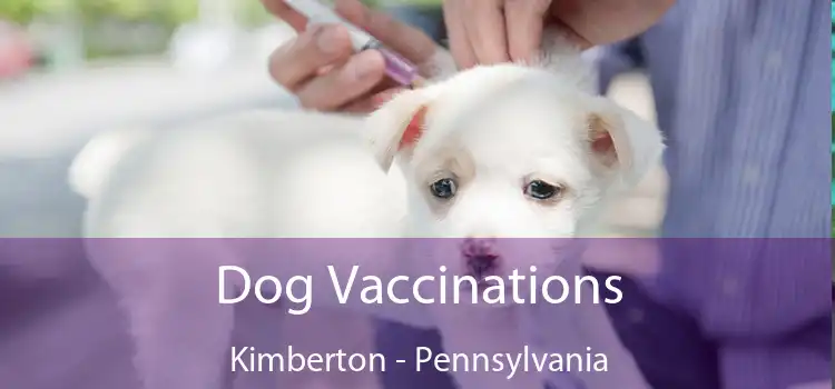 Dog Vaccinations Kimberton - Pennsylvania