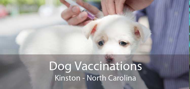 Dog Vaccinations Kinston - North Carolina