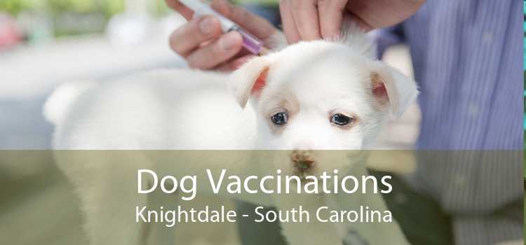 Dog Vaccinations Knightdale - South Carolina