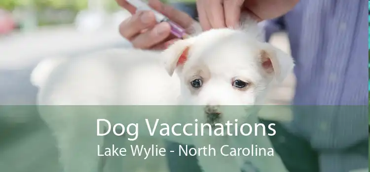 Dog Vaccinations Lake Wylie - North Carolina