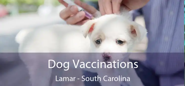 Dog Vaccinations Lamar - South Carolina