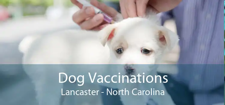 Dog Vaccinations Lancaster - North Carolina