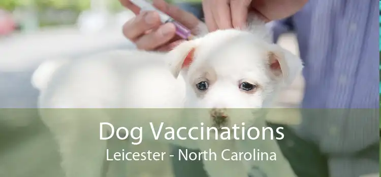Dog Vaccinations Leicester - North Carolina
