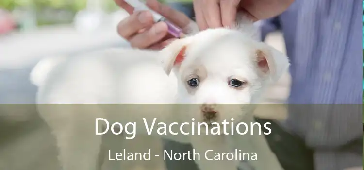 Dog Vaccinations Leland - North Carolina