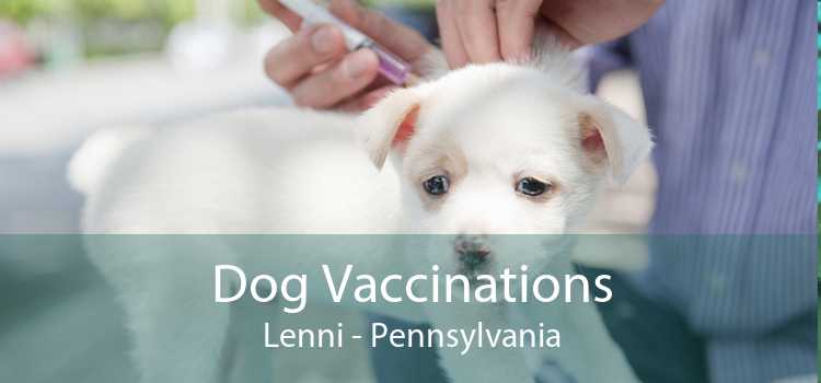 Dog Vaccinations Lenni - Pennsylvania
