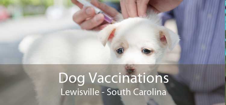 Dog Vaccinations Lewisville - South Carolina