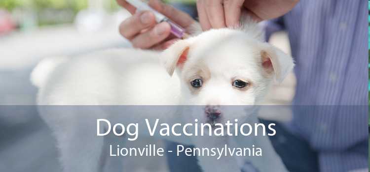 Dog Vaccinations Lionville - Pennsylvania