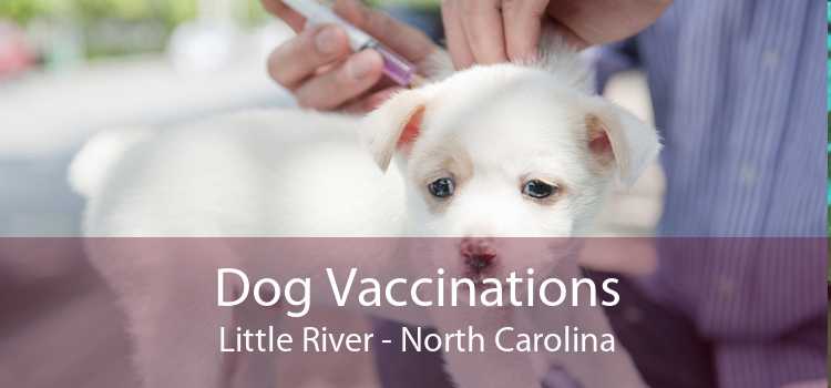 Dog Vaccinations Little River - North Carolina
