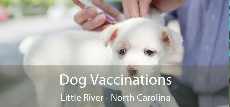 Dog Vaccinations Little River - North Carolina