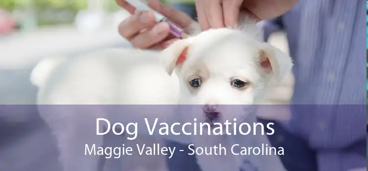 Dog Vaccinations Maggie Valley - South Carolina