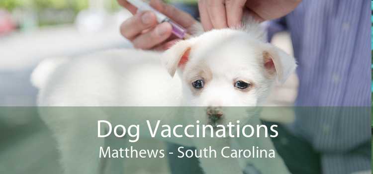 Dog Vaccinations Matthews - South Carolina