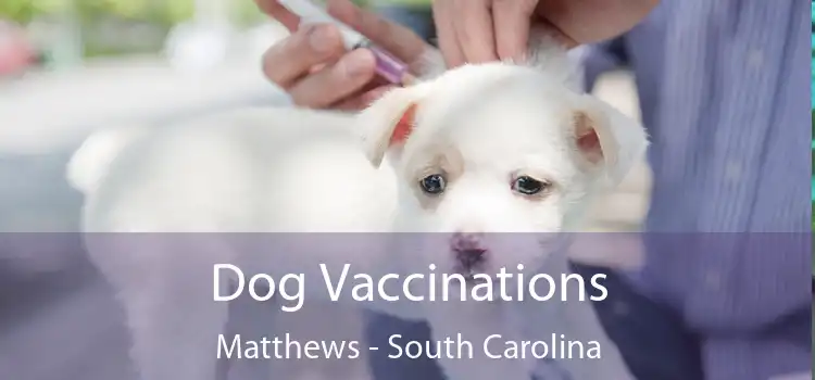 Dog Vaccinations Matthews - South Carolina