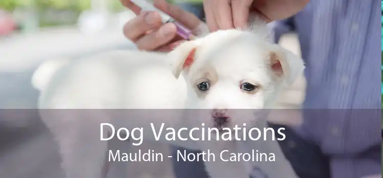 Dog Vaccinations Mauldin - North Carolina