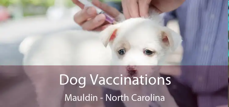 Dog Vaccinations Mauldin - North Carolina