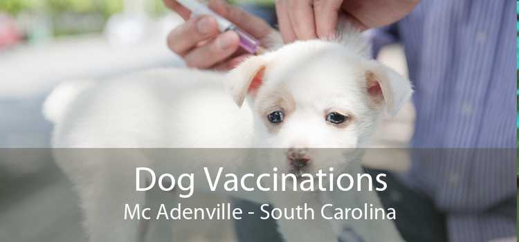 Dog Vaccinations Mc Adenville - South Carolina