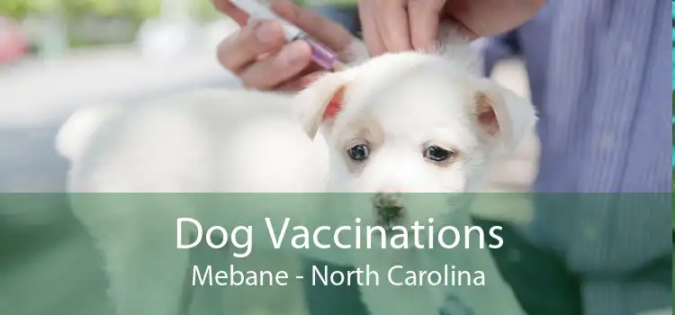 Dog Vaccinations Mebane - North Carolina