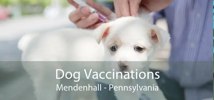 Dog Vaccinations Mendenhall - Pennsylvania