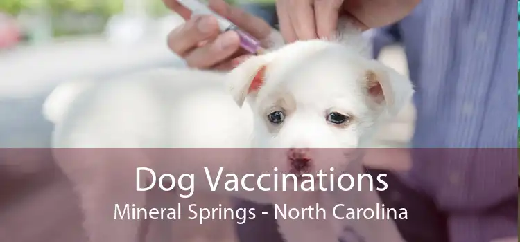 Dog Vaccinations Mineral Springs - North Carolina