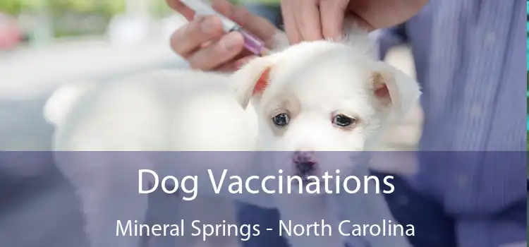 Dog Vaccinations Mineral Springs - North Carolina