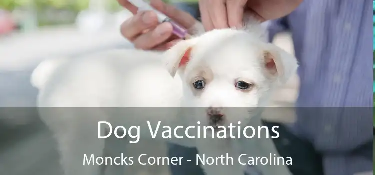 Dog Vaccinations Moncks Corner - North Carolina