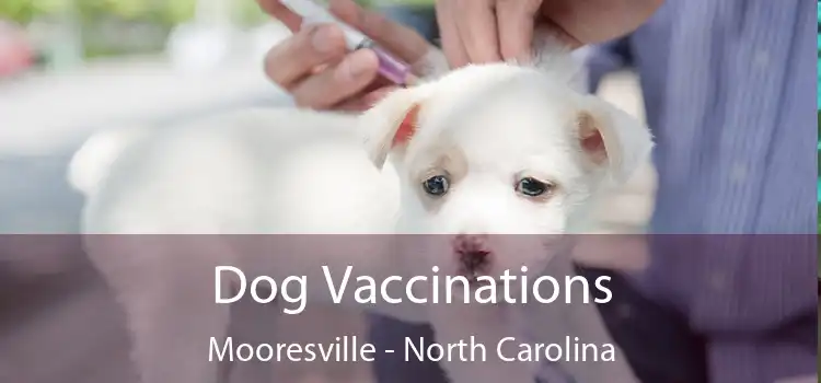 Dog Vaccinations Mooresville - North Carolina