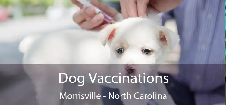 Dog Vaccinations Morrisville - North Carolina