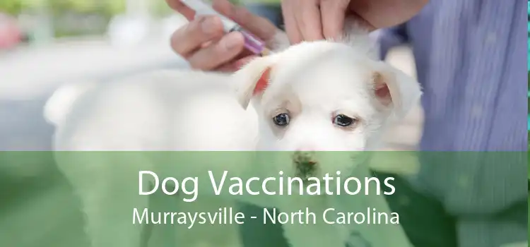 Dog Vaccinations Murraysville - North Carolina