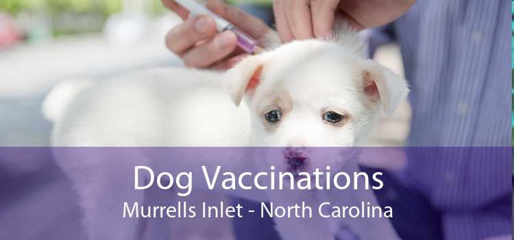 Dog Vaccinations Murrells Inlet - North Carolina