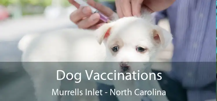 Dog Vaccinations Murrells Inlet - North Carolina