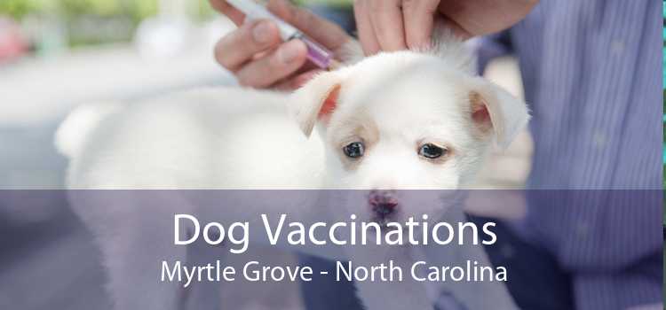 Dog Vaccinations Myrtle Grove - North Carolina