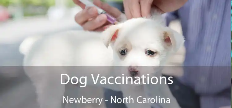 Dog Vaccinations Newberry - North Carolina