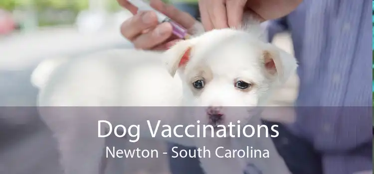 Dog Vaccinations Newton - South Carolina
