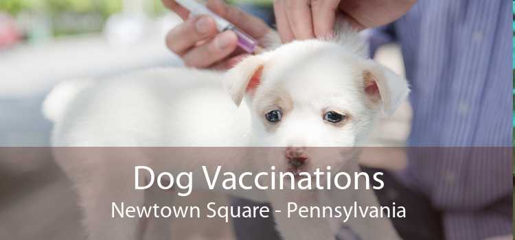 Dog Vaccinations Newtown Square - Pennsylvania