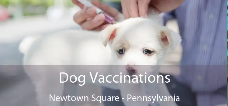 Dog Vaccinations Newtown Square - Pennsylvania