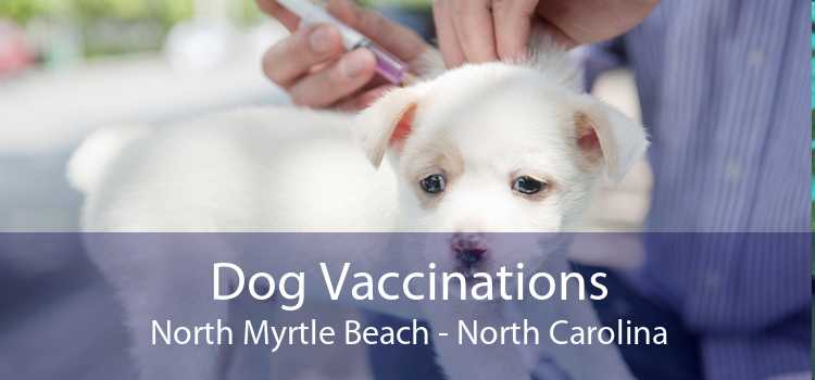 Dog Vaccinations North Myrtle Beach - North Carolina