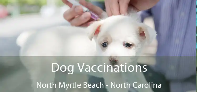 Dog Vaccinations North Myrtle Beach - North Carolina