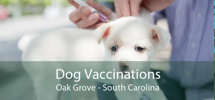 Dog Vaccinations Oak Grove - South Carolina