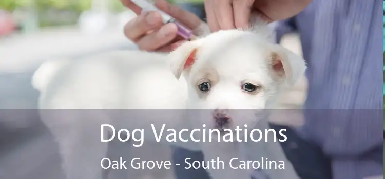 Dog Vaccinations Oak Grove - South Carolina