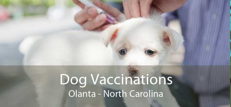 Dog Vaccinations Olanta - North Carolina