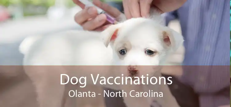 Dog Vaccinations Olanta - North Carolina