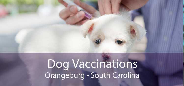 Dog Vaccinations Orangeburg - South Carolina