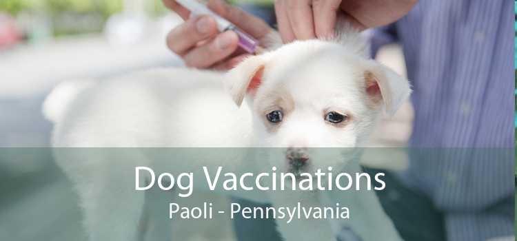 Dog Vaccinations Paoli - Pennsylvania